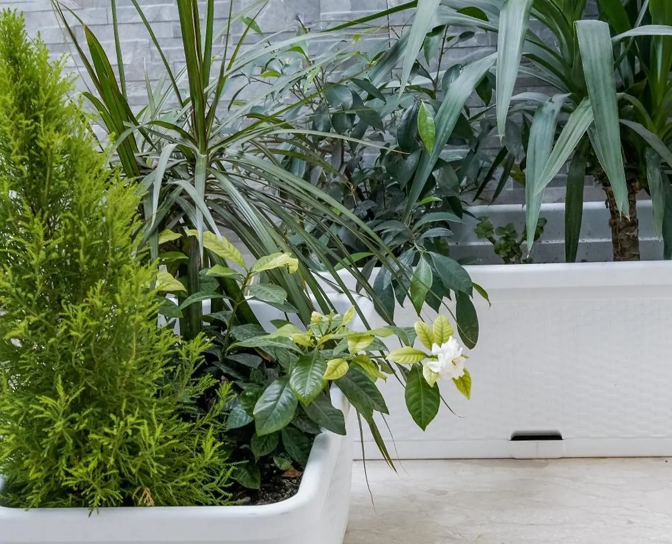 La Peonia B&B Ragusa Bed & Breakfast